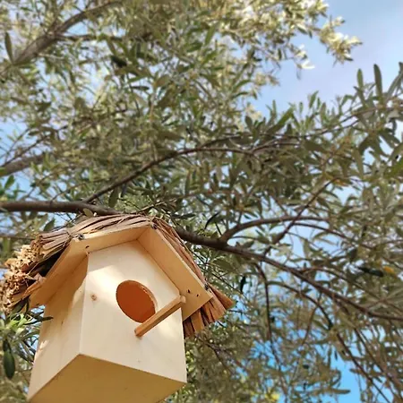 Mucho Villages Bed & Breakfast Bodrum